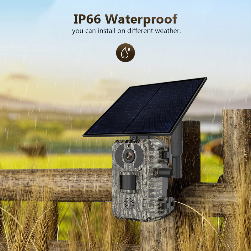Panel Power Outdoor - 4G 4 МП наружная охотничья Тропа